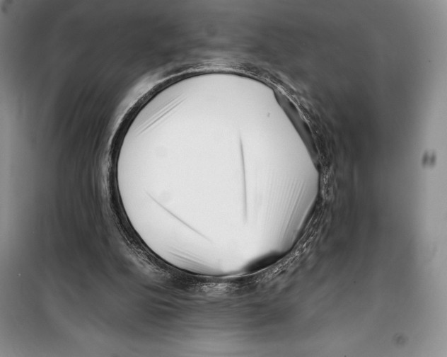 X0000099460152200806061137