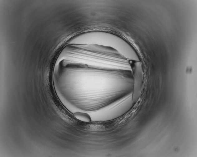 X0000099460154200806061137