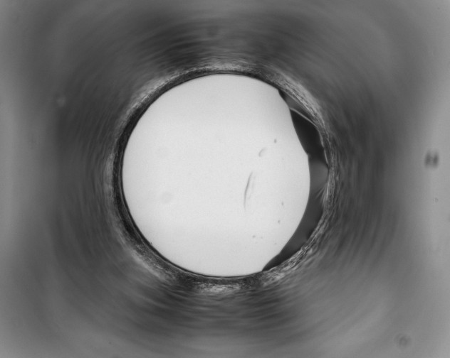 X0000099460155200806061137