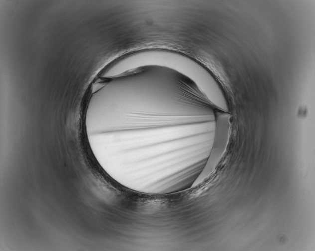 X0000099460156200806061137