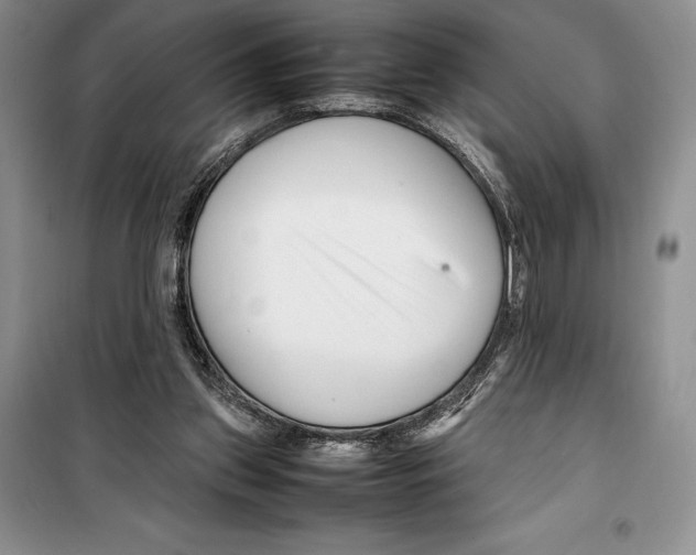 X0000099460157200806061137