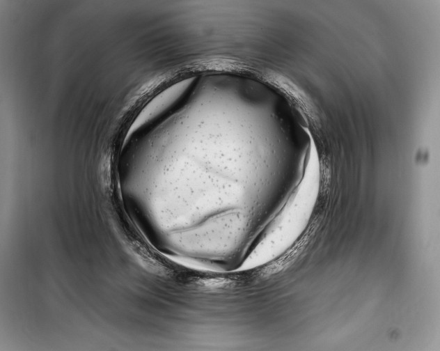 X0000099460158200806061137