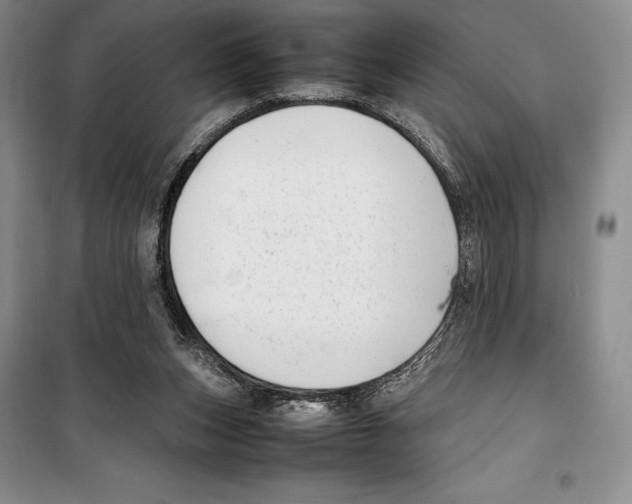 X0000099460159200806061137