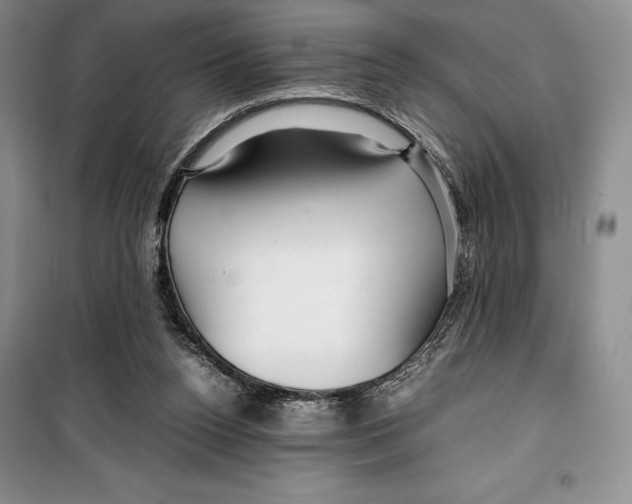 X0000099460160200806061137