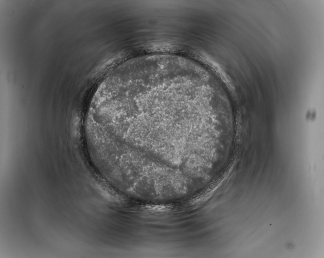 X0000099460161200806061137