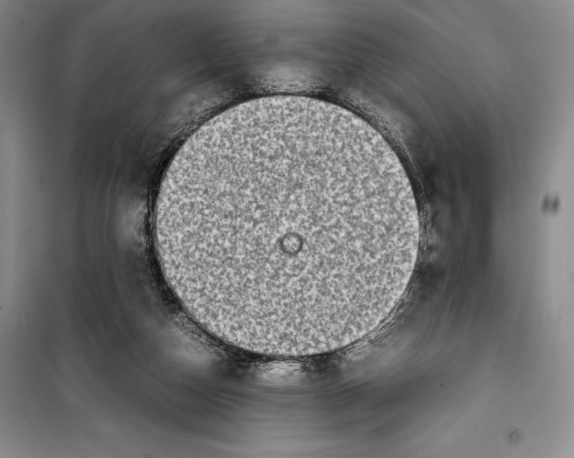 X0000099460162200806061137