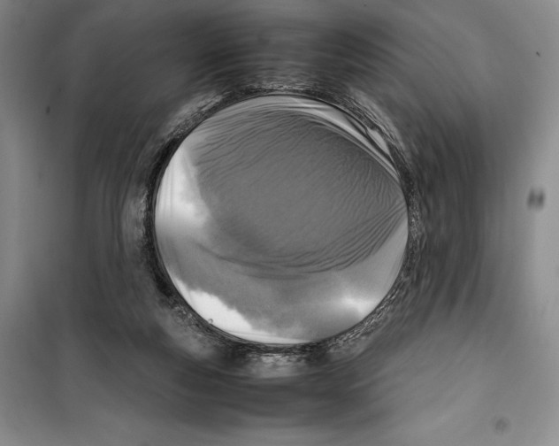 X0000099460163200806061137