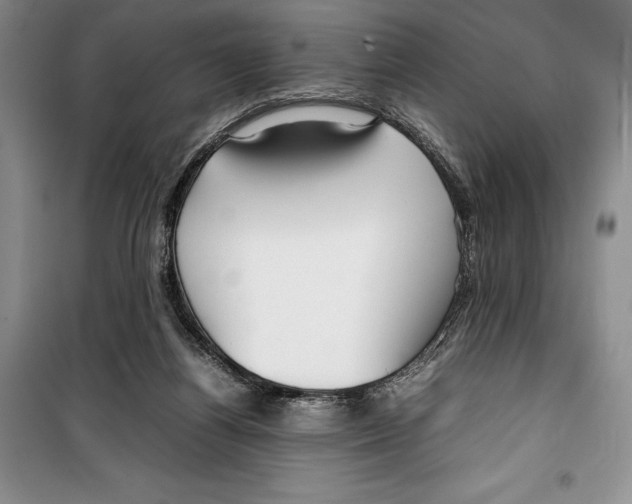 X0000099460164200806061137