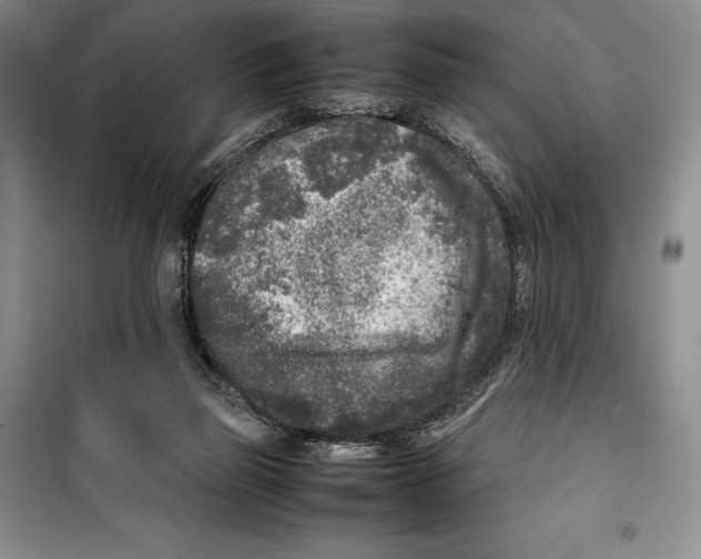 X0000099460165200806061137