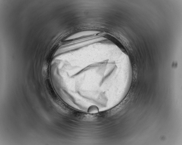 X0000099460166200806061137