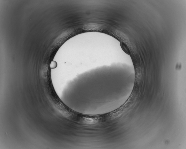 X0000099460167200806061137