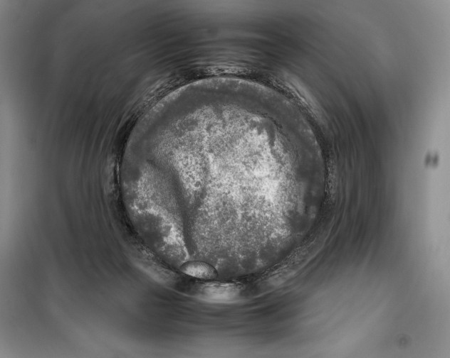 X0000099460169200806061137