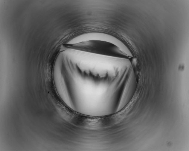 X0000099460170200806061137