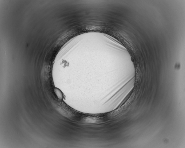 X0000099460171200806061137