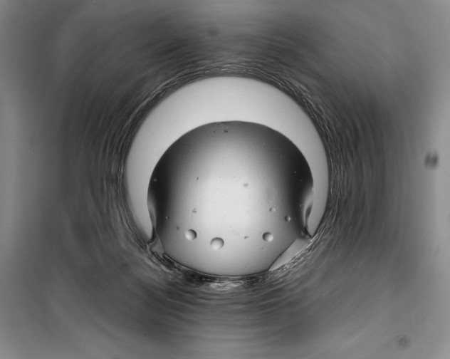 X0000099460172200806061137