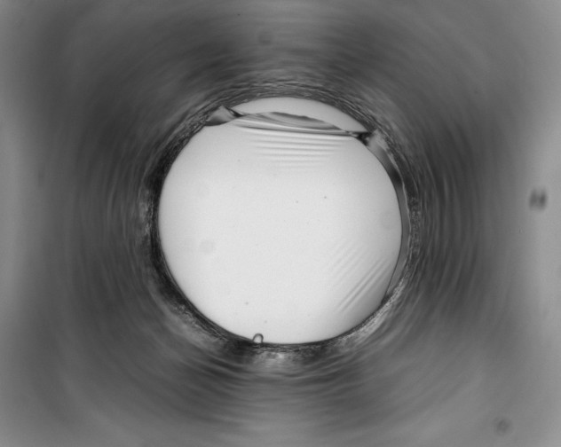 X0000099460174200806061137