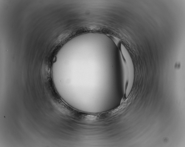 X0000099460176200806061137