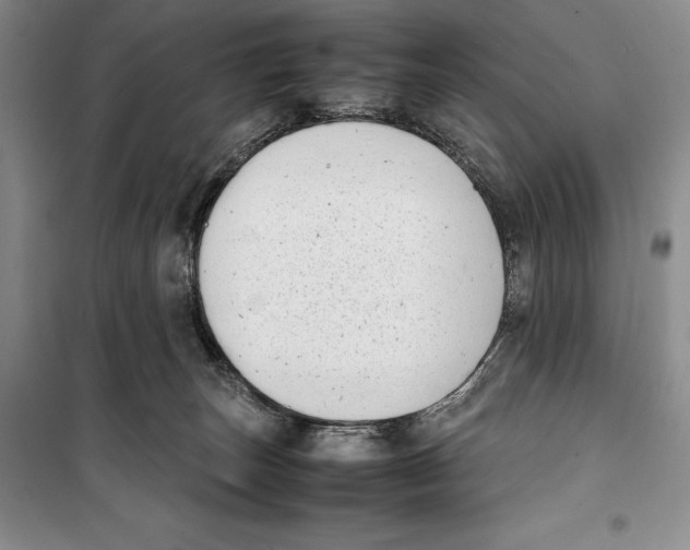 X0000099460179200806061137