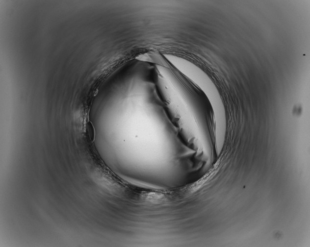 X0000099460180200806061137