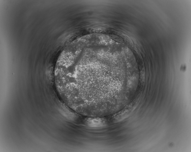 X0000099460181200806061137