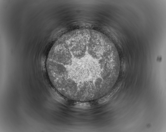 X0000099460185200806061137