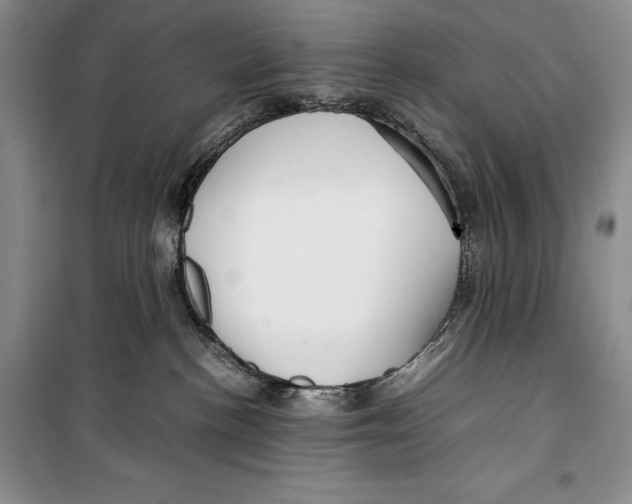 X0000099460188200806061138