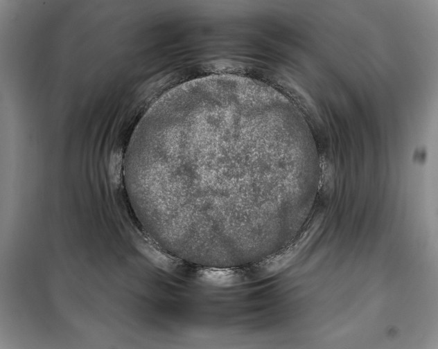 X0000099460189200806061138