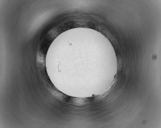 X0000099460191200806061138