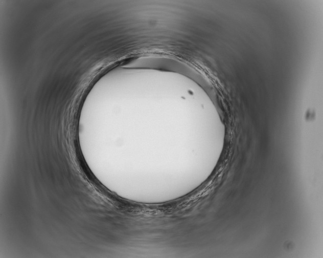 X0000099460193200806061137