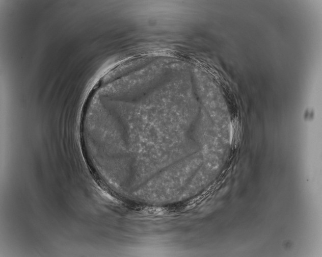 X0000099460195200806061137