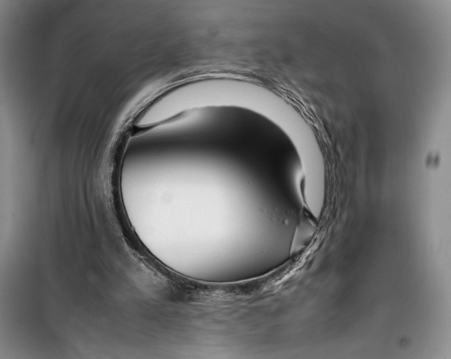 X0000099460197200806061137