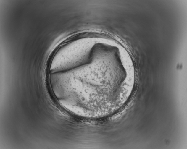 X0000099460199200806061137