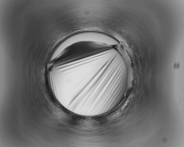 X0000099460201200806061137