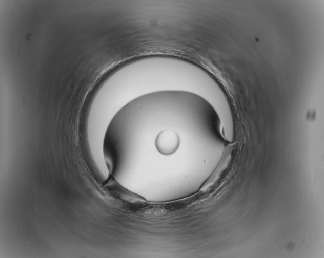 X0000099460203200806061137