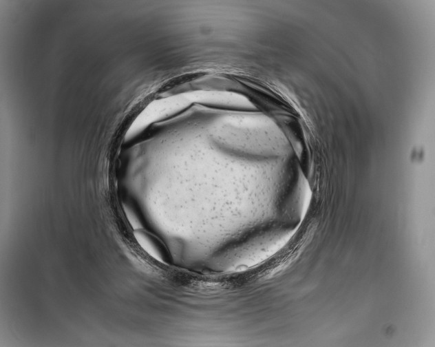 X0000099460205200806061137