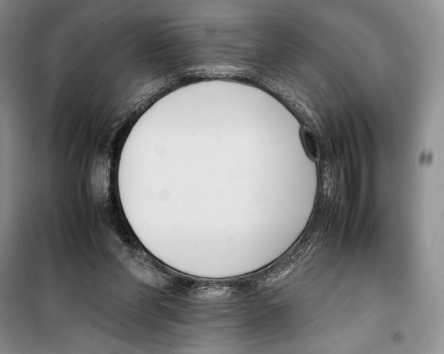 X0000099460206200806061137