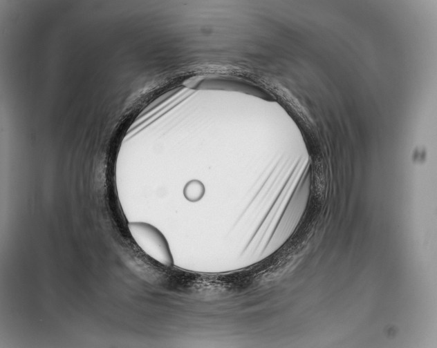 X0000099460207200806061137