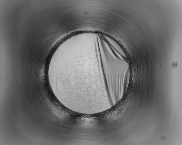 X0000099460208200806061137