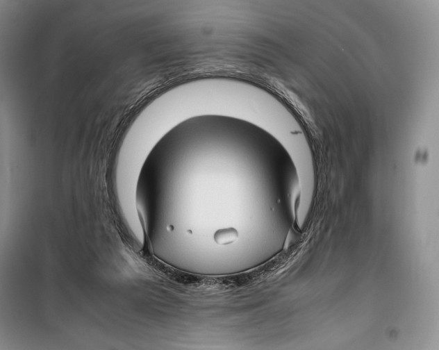 X0000099460209200806061137