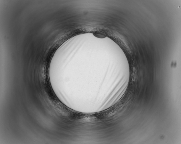 X0000099460210200806061137