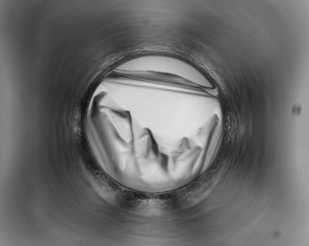 X0000099460212200806061137