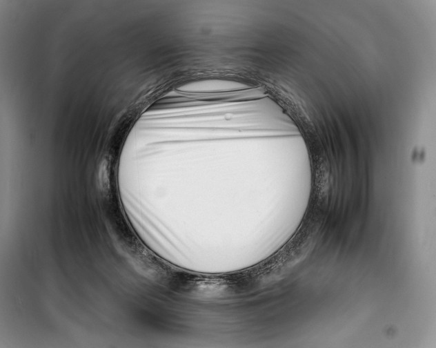 X0000099460214200806061137