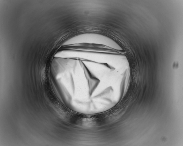 X0000099460216200806061137