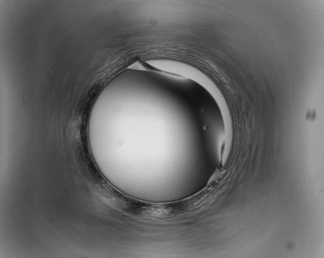 X0000099460217200806061137