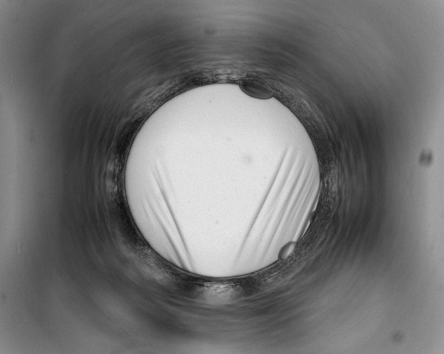 X0000099460218200806061137