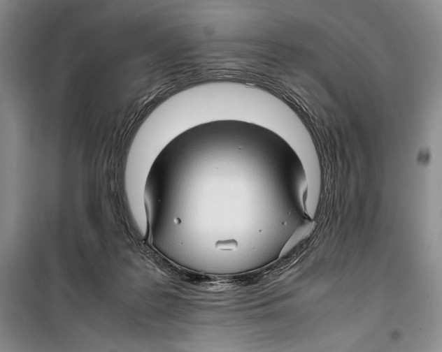 X0000099460219200806061137