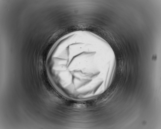 X0000099460220200806061137