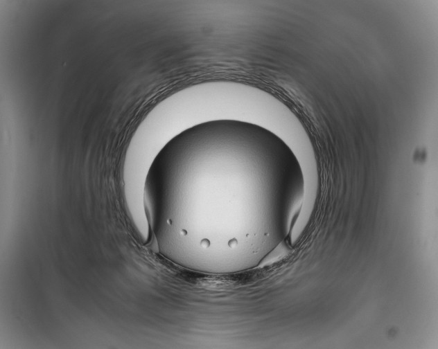 X0000099460221200806061136