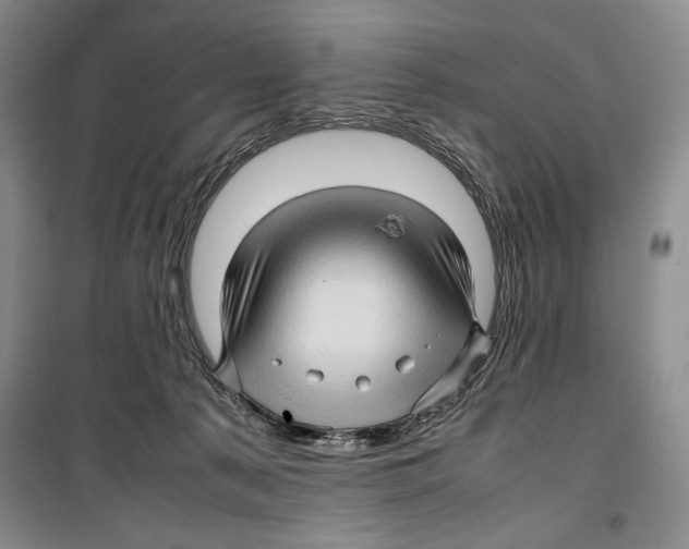 X0000099460225200806061136