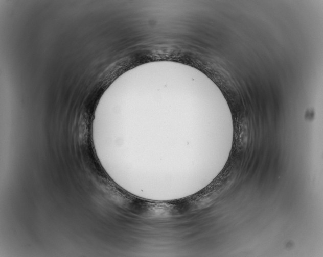 X0000099460226200806061136